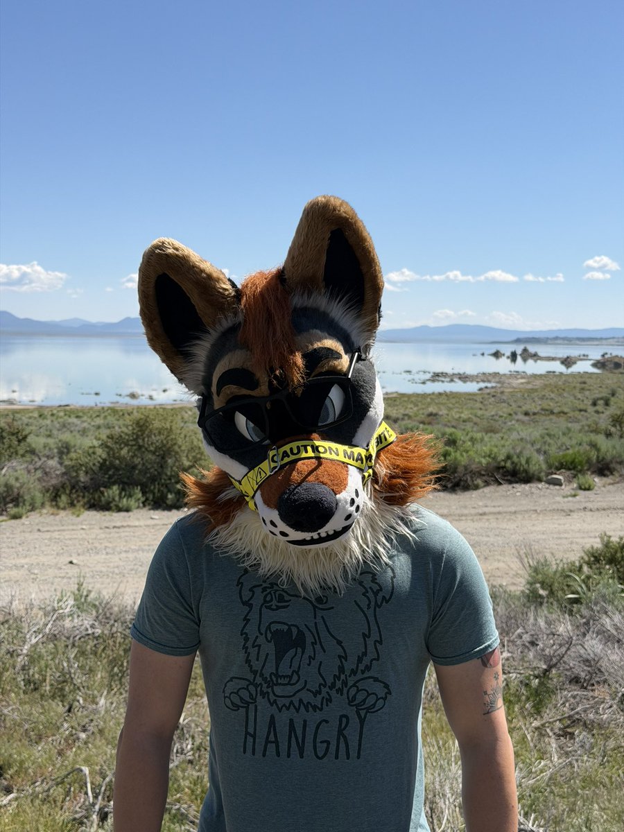 EditTheFox's tweet photo. Wherever I go, I’m always hangry https://t.co/2wGvKKiCl6