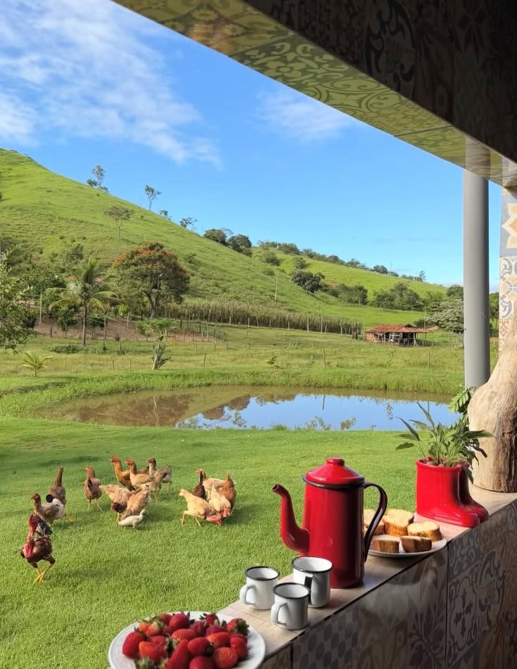 purelivn's tweet photo. country life https://t.co/xYT7otAZiu