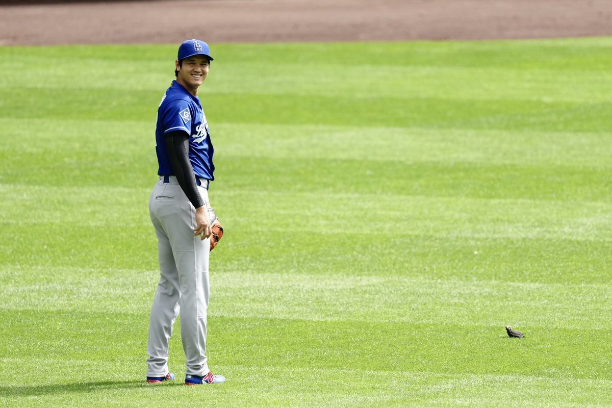 LADodgersMuse's tweet photo. Shohei Ohtani made friends with a little bird 👀😂 https://t.co/sIIaTGR6JE