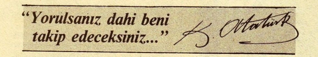 Lone tweet media