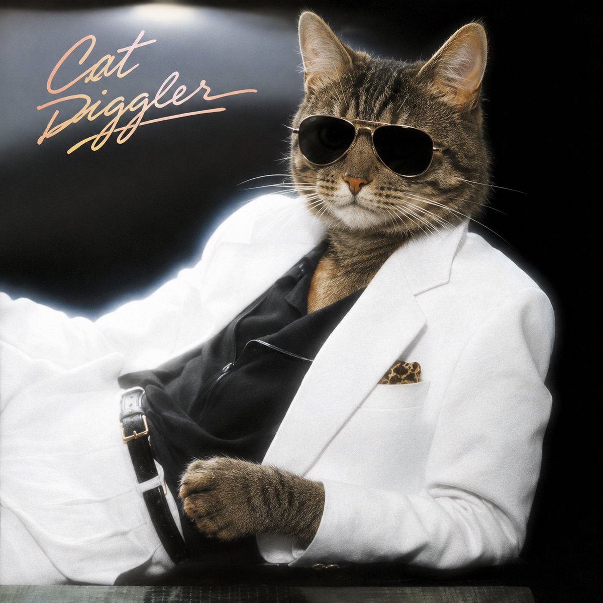 The CAT DIGGLER Show! tweet media