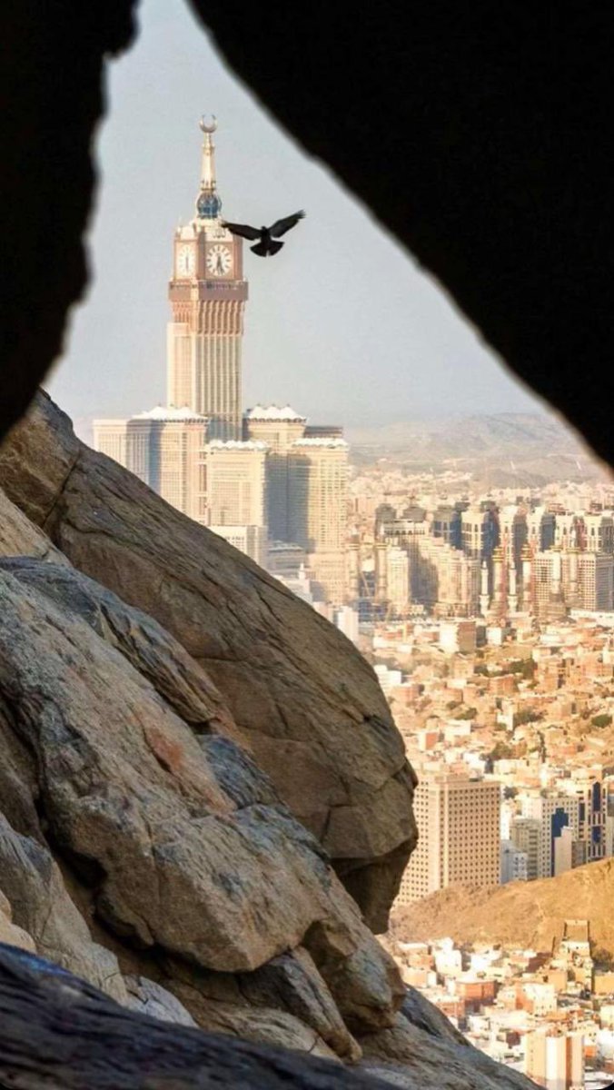 amalll1419's tweet photo. الله أكبر تحيي الروح أحرفها
 الله أكبر تروي القلب توحيدَا
#عرفة #الحج_1447هـ https://t.co/a0rXHWne86
