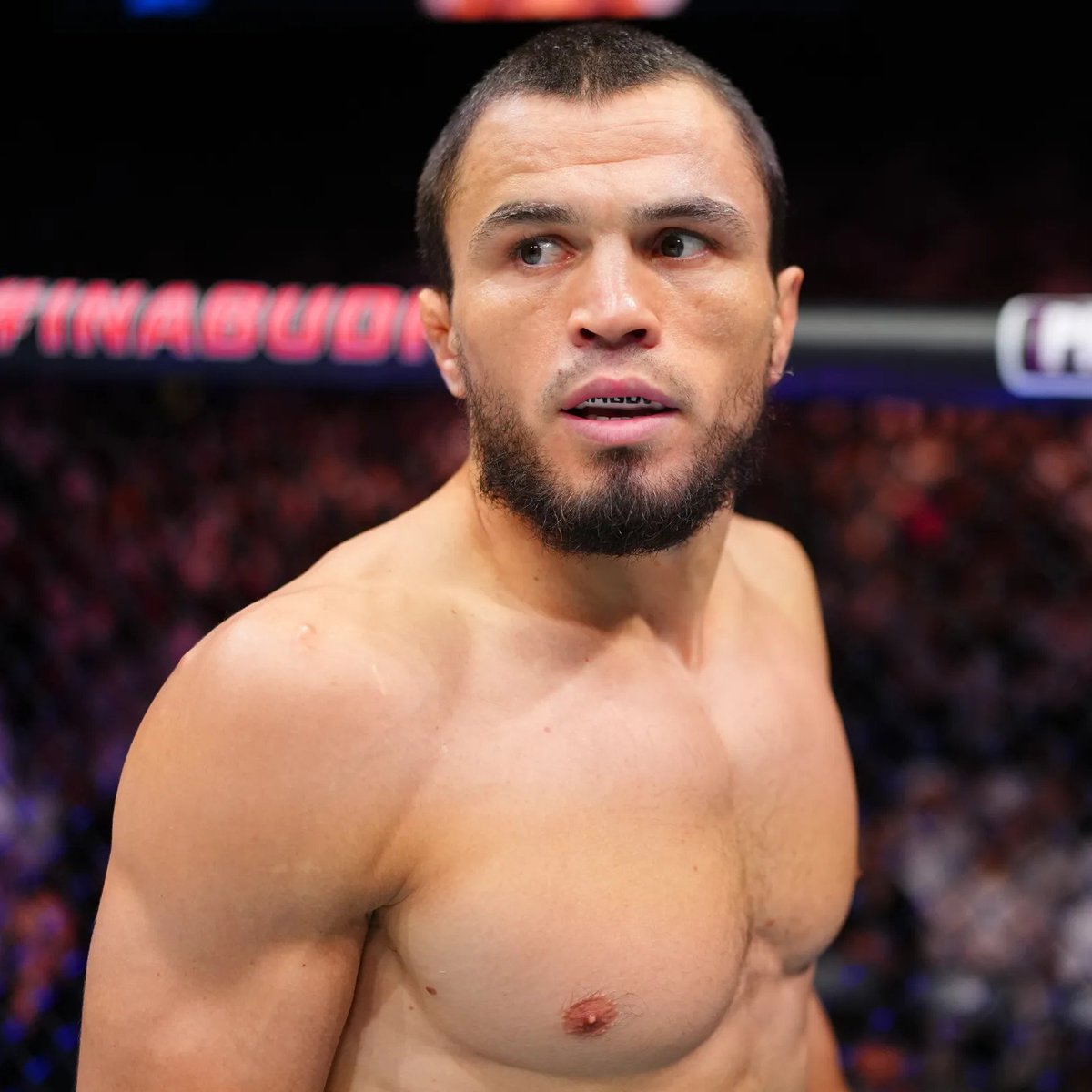 Left Hook MMA tweet media