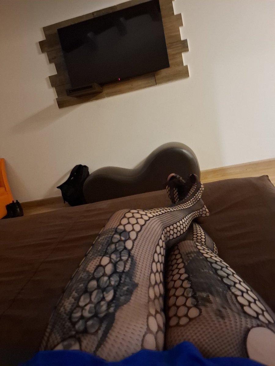 kittymiau tweet media