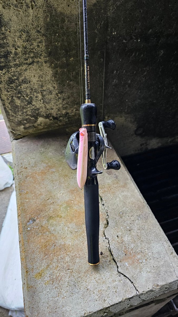 MorizoFilms's tweet photo. キャスティング大会のために超久しぶりのバスタックル🎣
大会前にかカツ丼食べたのは験担ぎぢゃないですよ！ https://t.co/8xeYU6YNSZ