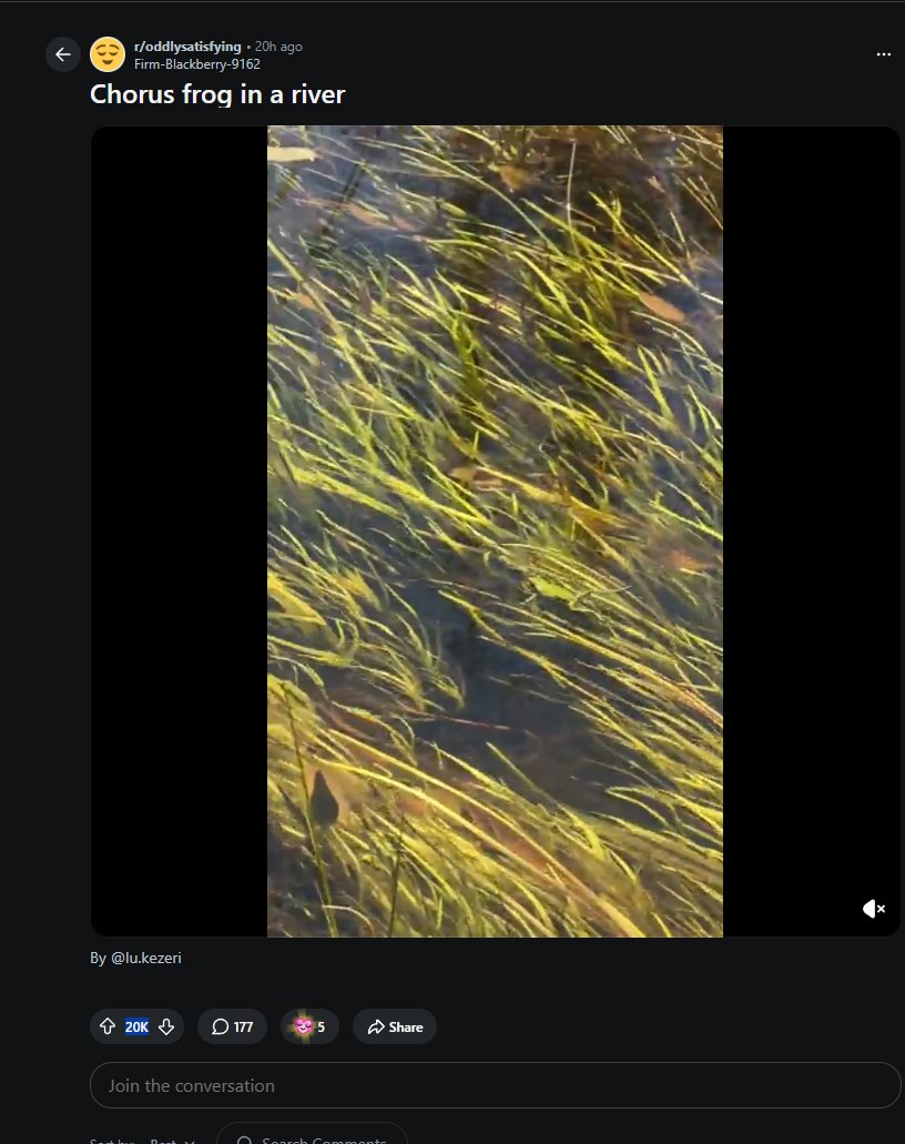 ColerClukz's tweet photo. This frog is going absolutely viral on reddit for gliding across the river.

20K VIEWS IN UNDER A DAY

Taoism is literally a lifestyle of GOING WITH THE FLOW

its exactly what that frog is doing

https://t.co/od6tSLKnRN https://t.co/kDMZavWMyB