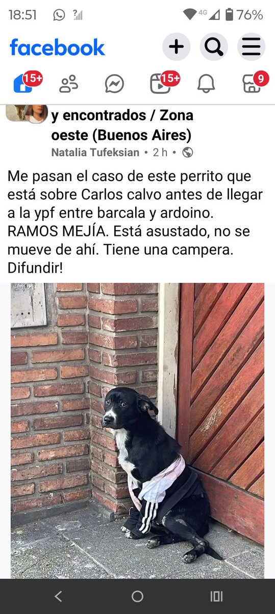 ALEXIANA777's tweet photo. Esta muy asustado y con miedo 😢😢🙏🙏🙏#RamosMejia Carlos Calvo antes de llegar a la #YPF entre Barcala y Androilo 😢😢🙏🙏😢😢💔💔😔 @24conurbano @soyleomontero @DamaAlbiceleste @NikeYEyraGalgos @RedAnimalistaAR @OMFA_Refugio https://t.co/6xgY6NP9vw