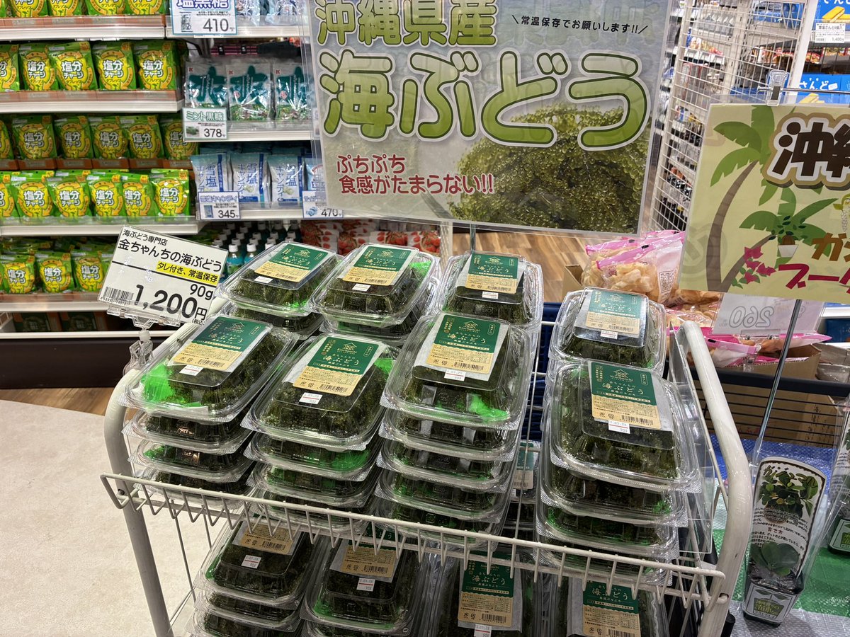 ひいこ tweet media