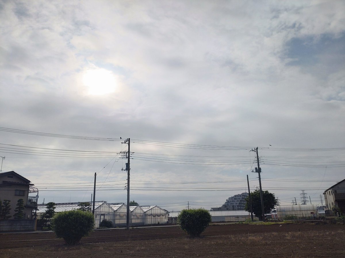 ショーイチ tweet media