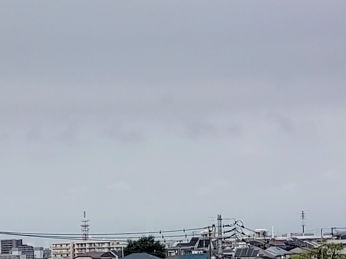 ショーイチ tweet media
