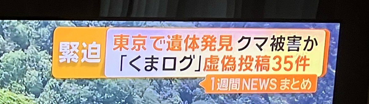 s k tweet media