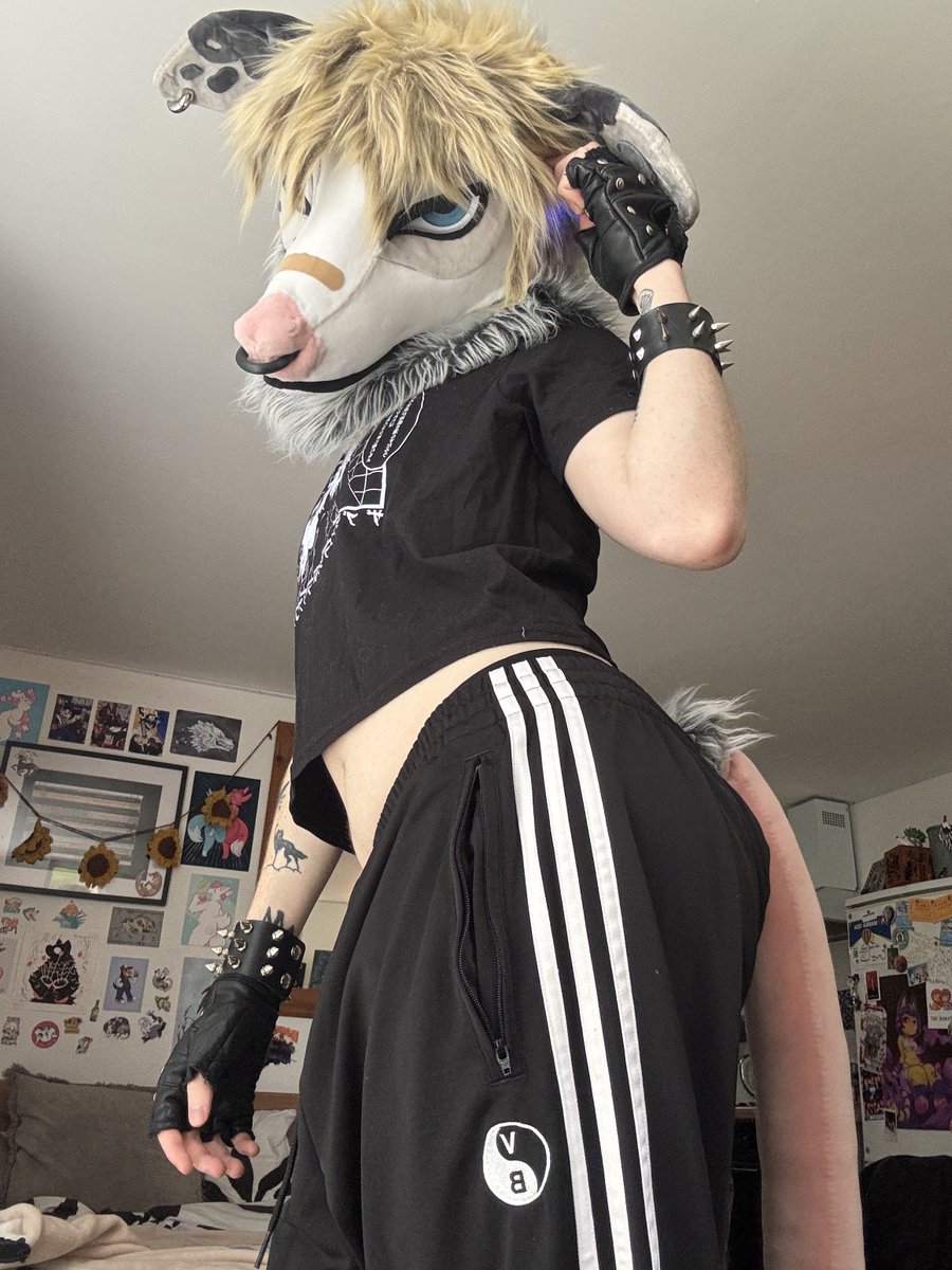 Beau 🔞🐀🔜 CFZ, EF tweet media