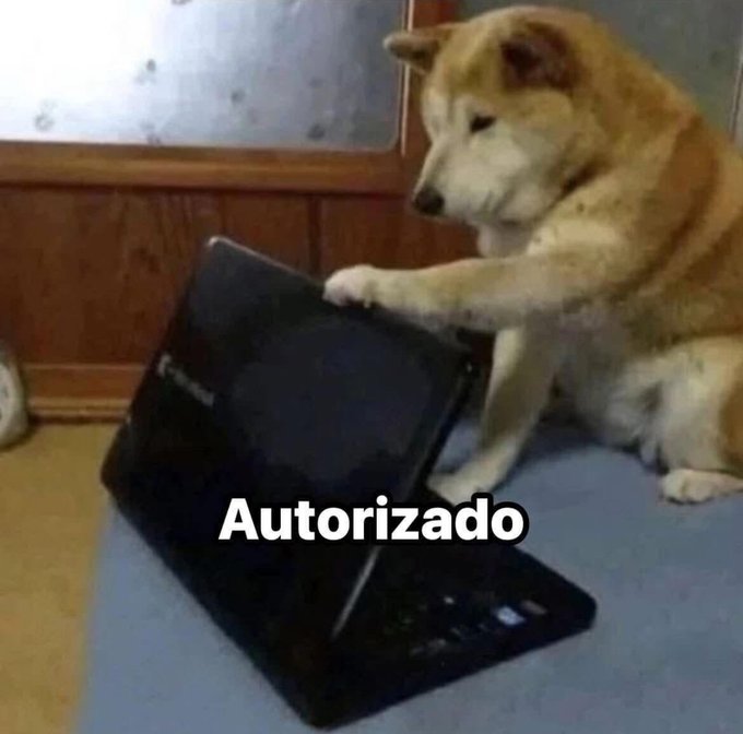 cornulda tweet media