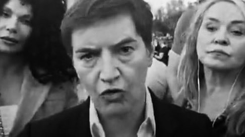 Željko Veljković tweet media