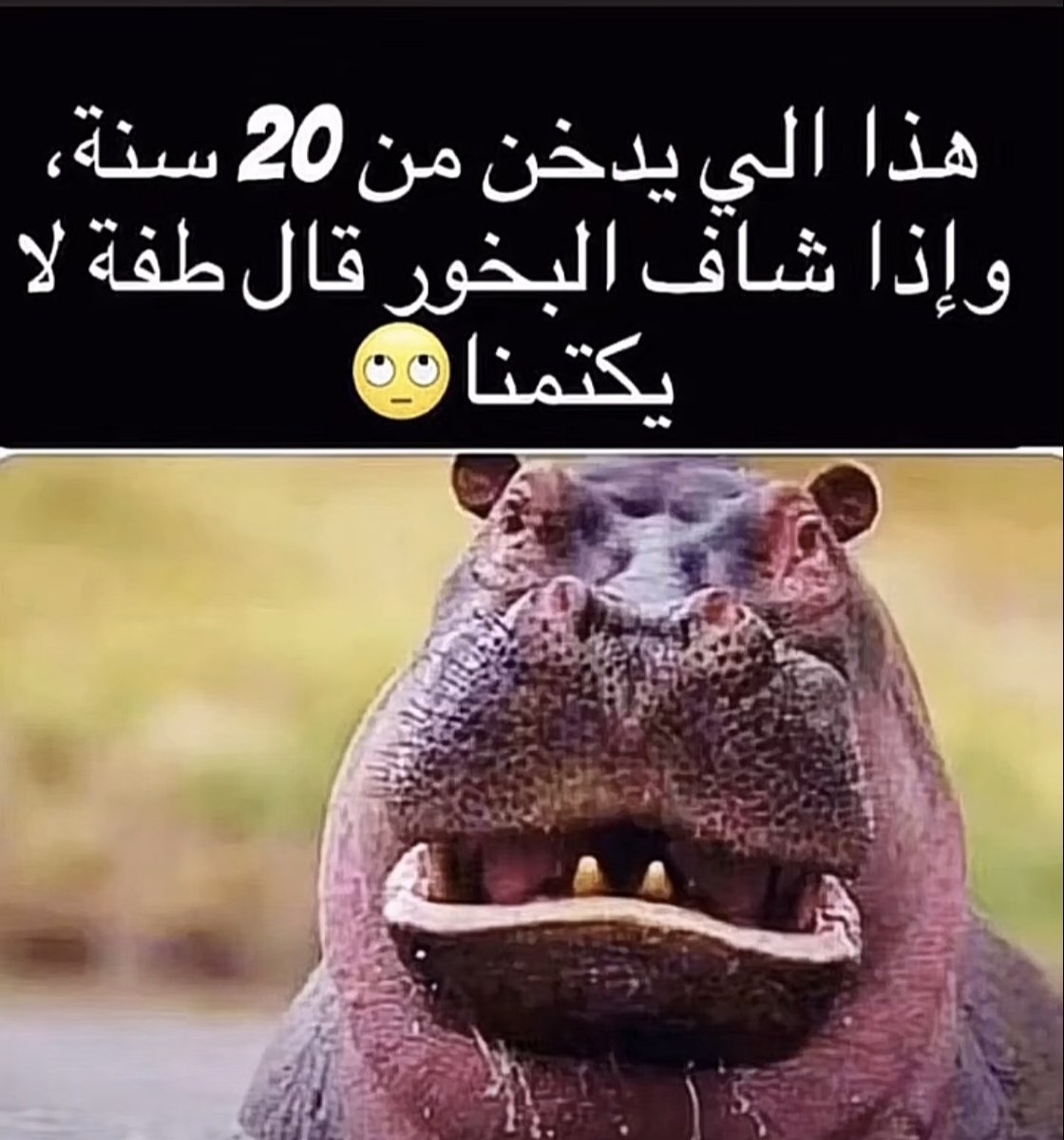 آلُرآشُـُڊ 𝓪𝓵 𝓻𝓪𝓼𝓱𝓮𝓭 tweet media
