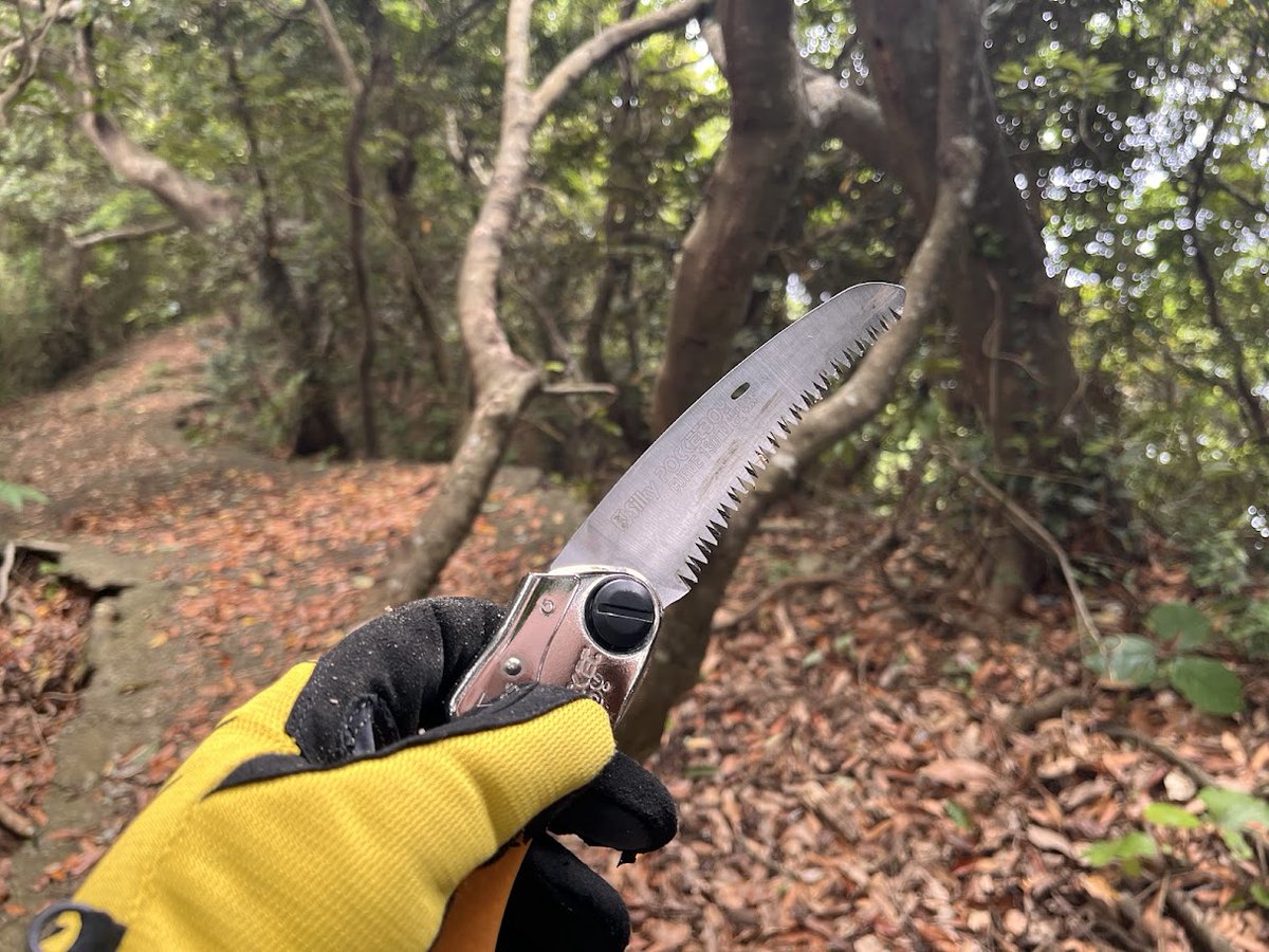 naruminami2's tweet photo. 九州自然歩道、登山道整備　この日は整備計画を立てるための情報集めのため全ルートを点検するために身軽で整備道具はあまり持って行かなかったのですが、いきなりこれに遭遇してしまい、、登山道整備を任されている者としてはこれを放置できないというか、そのまま帰るのが恥ずかしい。。。てことで手持ちの小さいノコで太刀打ちできるのか？　意外とやってみるもんです。すっかり撤去できました。

#登山道整備
#九州自然歩道
#南大隅町
#霧島山岳会
#登山道