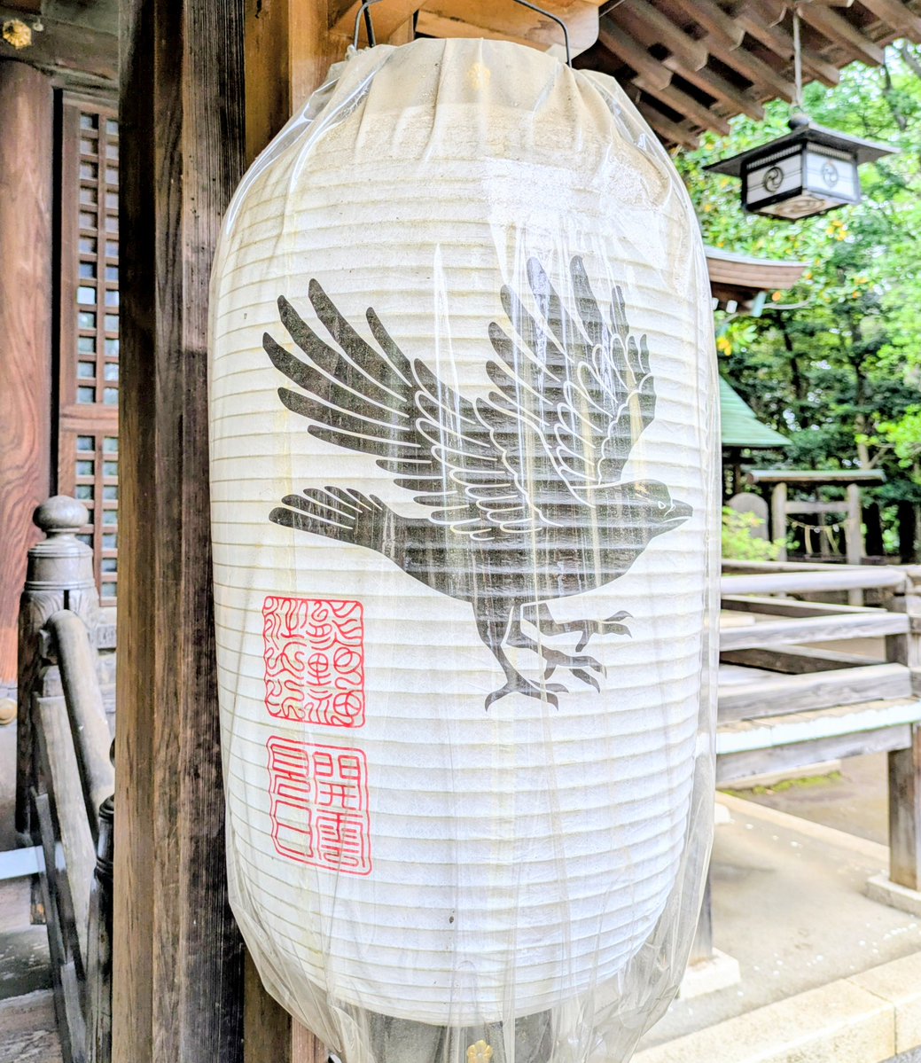 たま🐝 tweet media