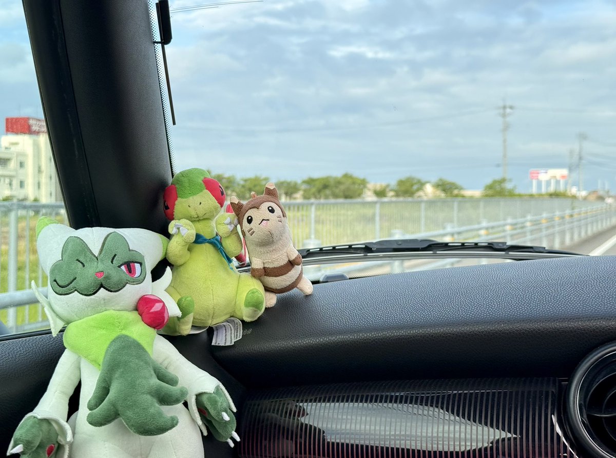 お急ぎ便C 3点 もふ 様✧*。 出発だー！！！🚗💨