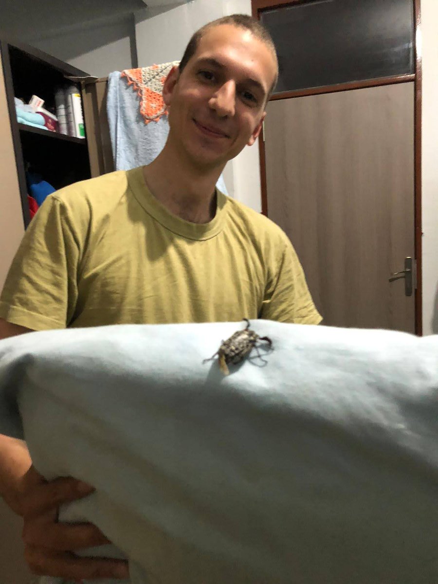 akinkocc's tweet photo. @Bulvarpress Askerde bundanım olmuştu. Camdan odaya dalıp yastığıma geldi tüm bölük fotoğraf çekildik amk https://t.co/gqJBiqaJ3u