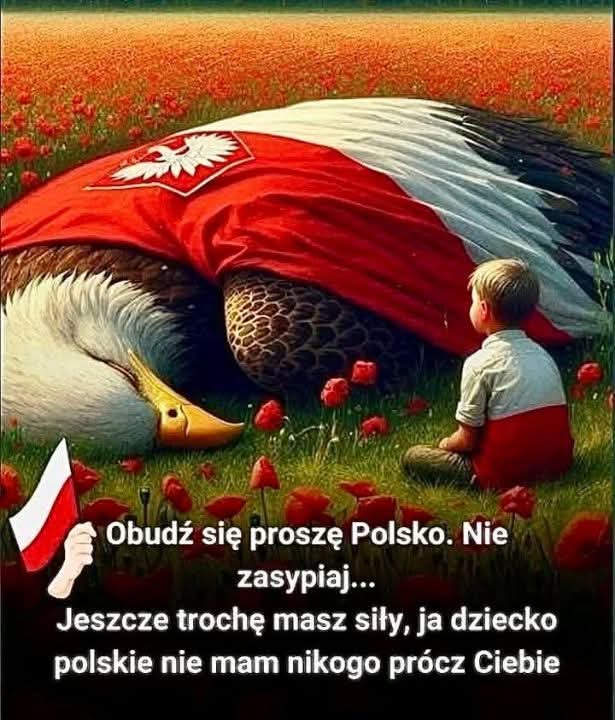 NAPRAWNIK♥️🇵🇱 #PILNUJPOLSKI #TeamKasia tweet media