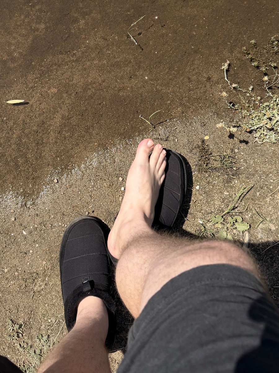 califtguy's tweet photo. @pinqbriq @midwestfeet217 https://t.co/s0KLQS6IC2