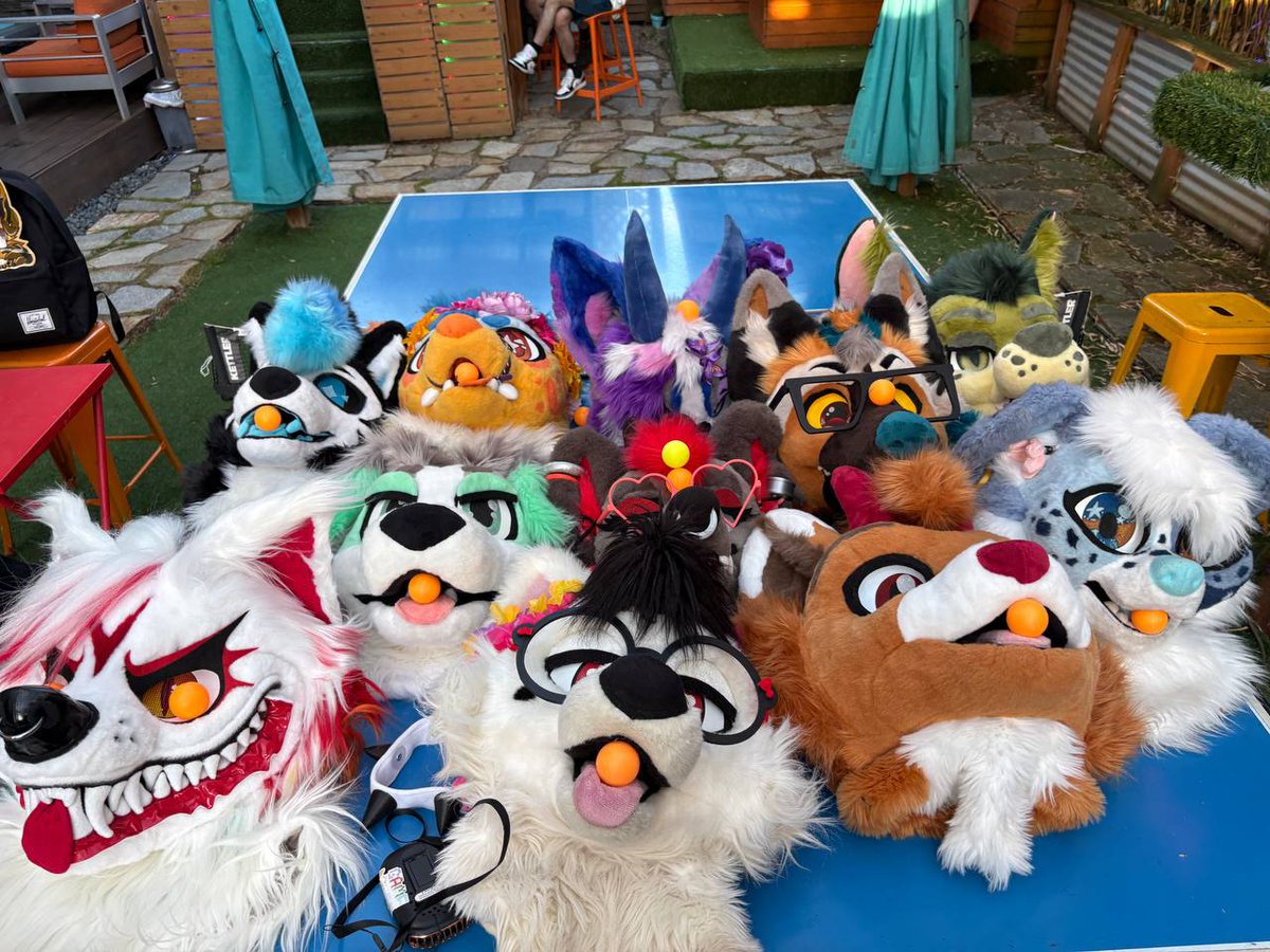 KorbinShep's tweet photo. Party last night was amazing def gotta do it again next year! #furlandia  #furlandia2026 https://t.co/O7arz1aQC2