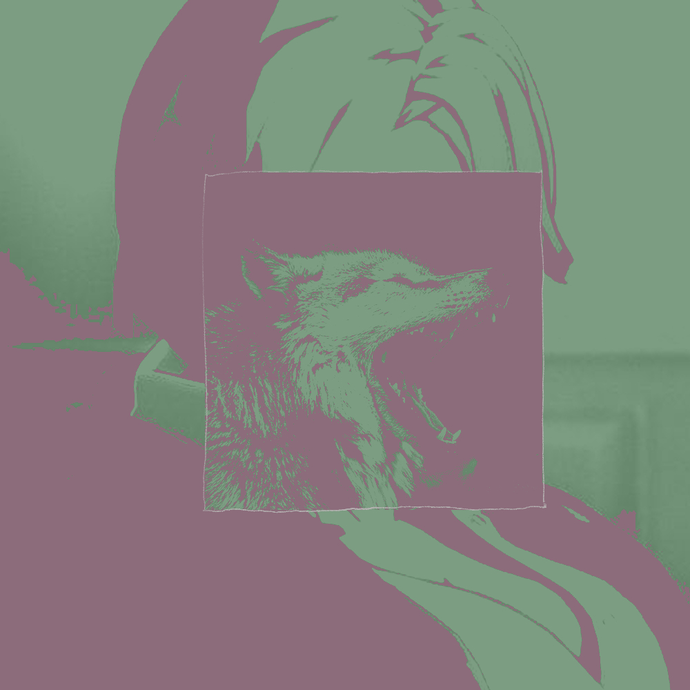 ๐๐๐๐๐๐๐ . tweet media