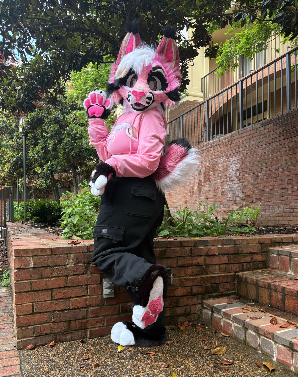 Key 🌊 🏝️ 🔜 Anthrocon tweet media