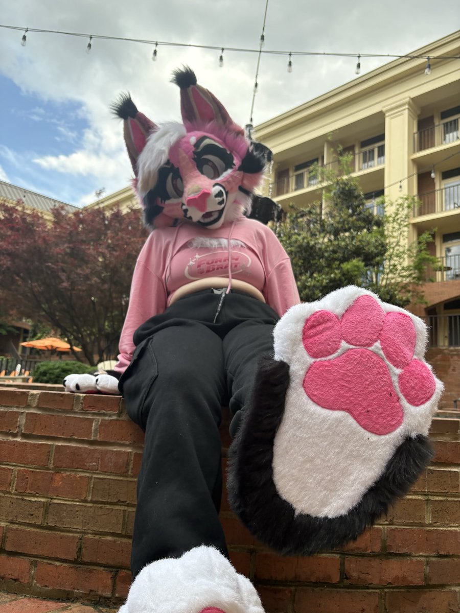 Key 🌊 🏝️ 🔜 Anthrocon tweet media
