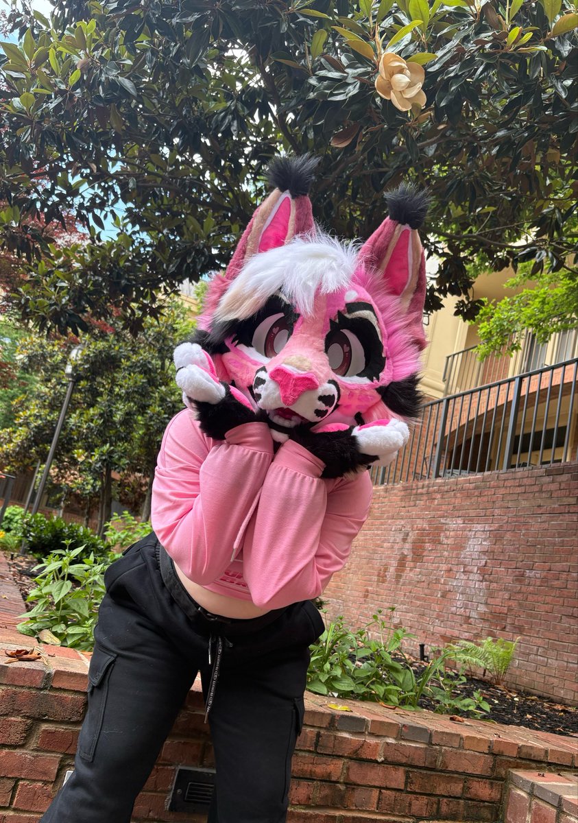 Key 🌊 🏝️ 🔜 Anthrocon tweet media