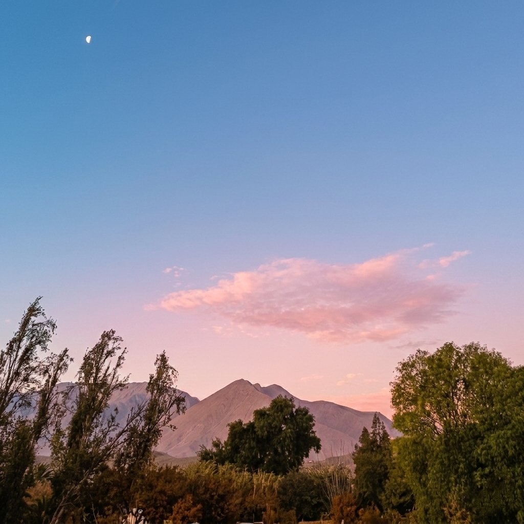 exploraelqui's tweet photo. Agradecido/a de coincidir con momentos así. La naturaleza siempre sabe cómo recordarnos lo hermoso que es detenerse a respirar. 🌅✨
Un pedacito de paz en la cordillera.

​#Gratitud #NaturalezaChile #Paisajes #AtardecerMagico #Vistas #CieloPastel #Montaña #ChileTravel https://t.co/PJMfAynSm4