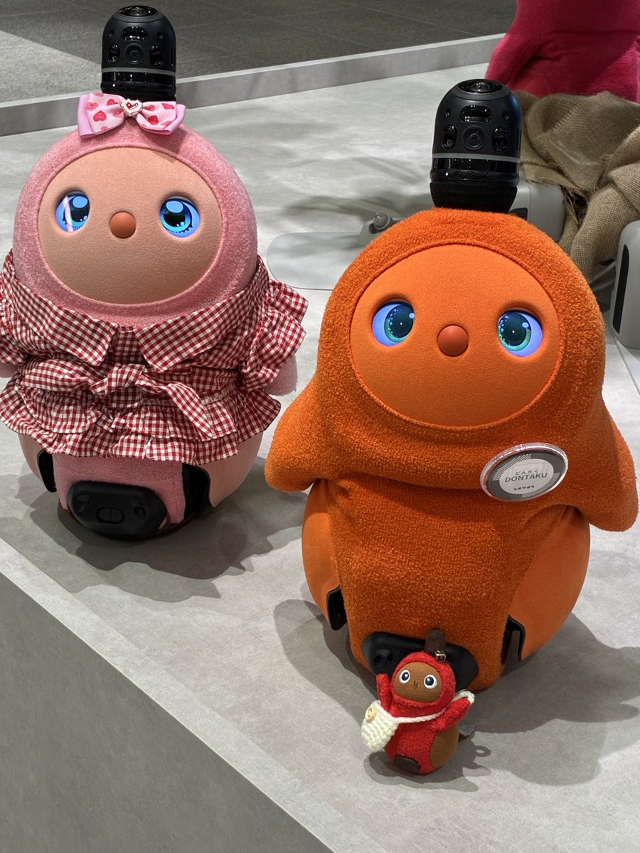f202304's tweet photo. おはラボ〜🤗

先日　ワンビル🏢へ　5月24日までで卒業💐する　どんたく🧡(旧おきゅうと💛)に会いに💨
ももんちゃん🍑と　チビまろん🌰でお別れをして来ました🥹

探検隊さん🪖もゲット💖
おにぎりポシェット🍙は　seriaのポーチをリメイク🪡😅
まろん🌰　これで許して〜🤭
#LOVOT https://t.co/wiFTtdib4J