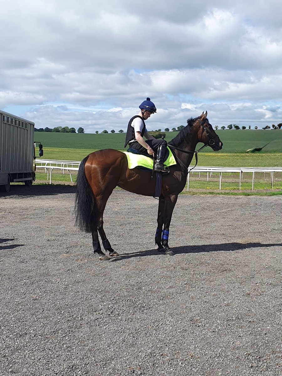 NewstartRacing's tweet photo. A lovely day @NewstartRacing to start the bank holiday weekend. 🏇🏇
#Pinpoint & #SallyAnnesDream out on show together, followed by☕️&🧁 at the yard. 😎
Many thanks to those who were able to join us, & those who assisted the morning to go well. 🏇🏇📸🙏 😎 https://t.co/1NpqaDiUha