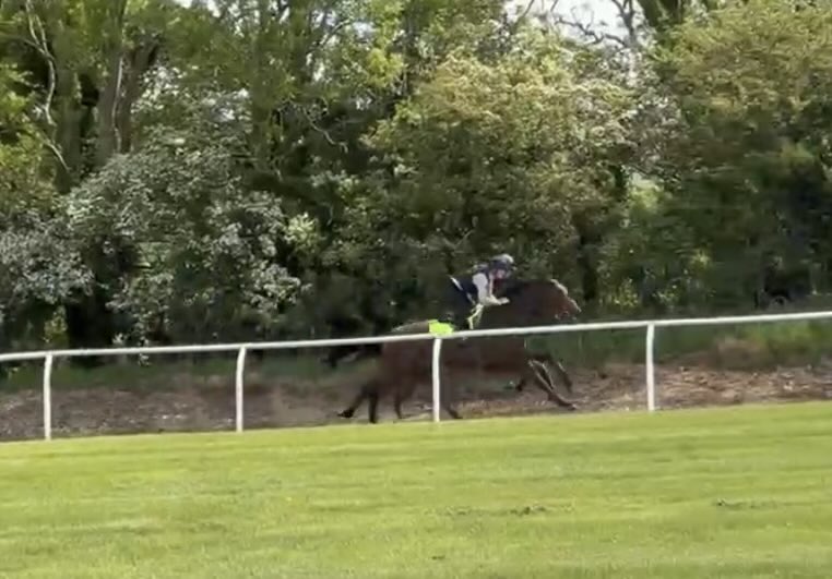 NewstartRacing's tweet photo. A lovely day @NewstartRacing to start the bank holiday weekend. 🏇🏇
#Pinpoint & #SallyAnnesDream out on show together, followed by☕️&🧁 at the yard. 😎
Many thanks to those who were able to join us, & those who assisted the morning to go well. 🏇🏇📸🙏 😎 https://t.co/1NpqaDiUha