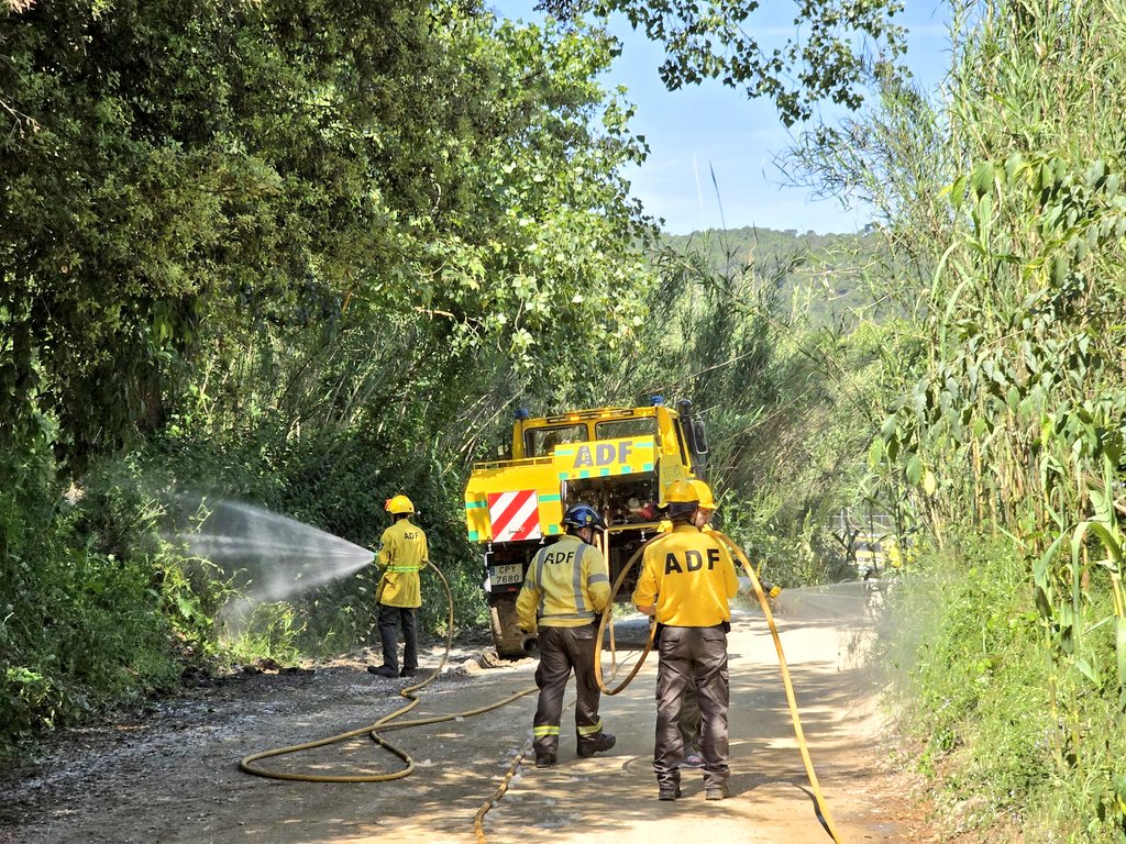 ADF172's tweet photo. Remullem de forma preventiva borrissol de pollancre en diverses zones de @LaRocaV i de @dosrius per reduïr la seva inflamabilitat i evitar incendis forestals #adfcat #prevencióIF https://t.co/qiHj3IaXsZ