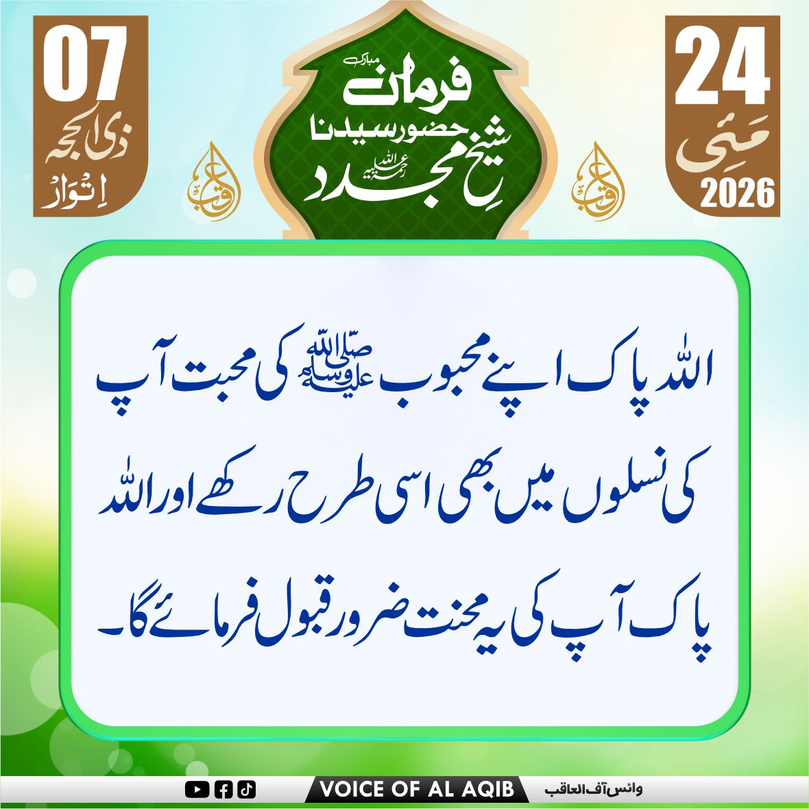 VOICE OF AL-AQIB tweet media