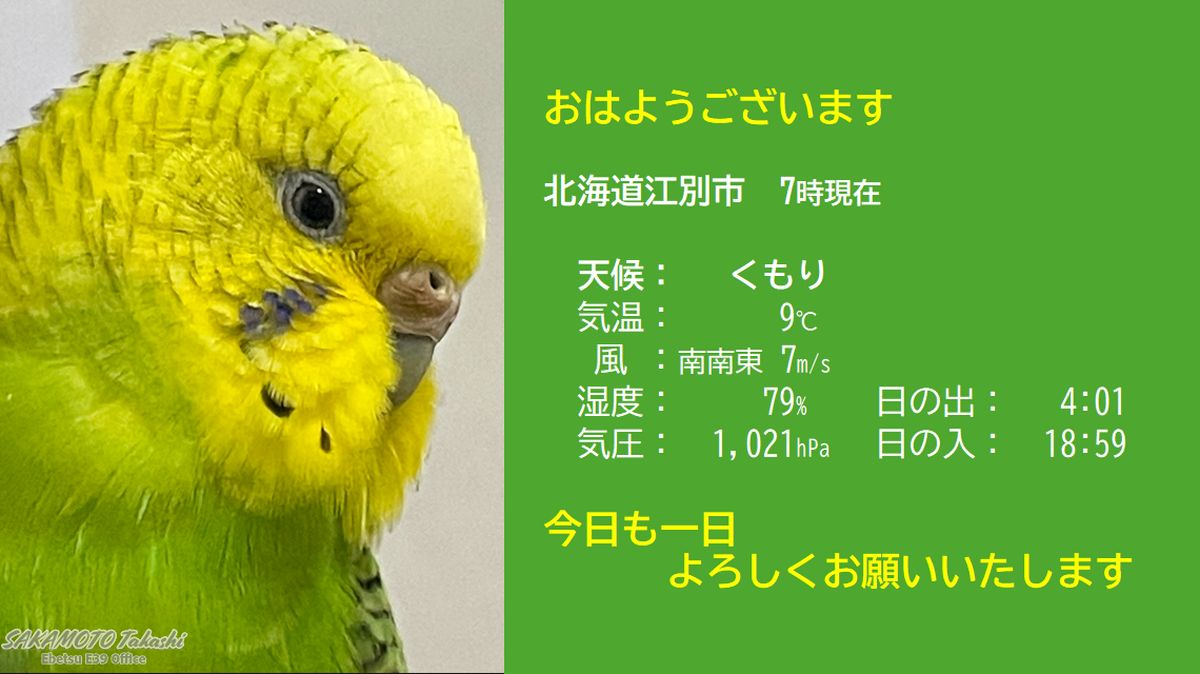 坂本孝志|四柱推命と暦の専門家 tweet media