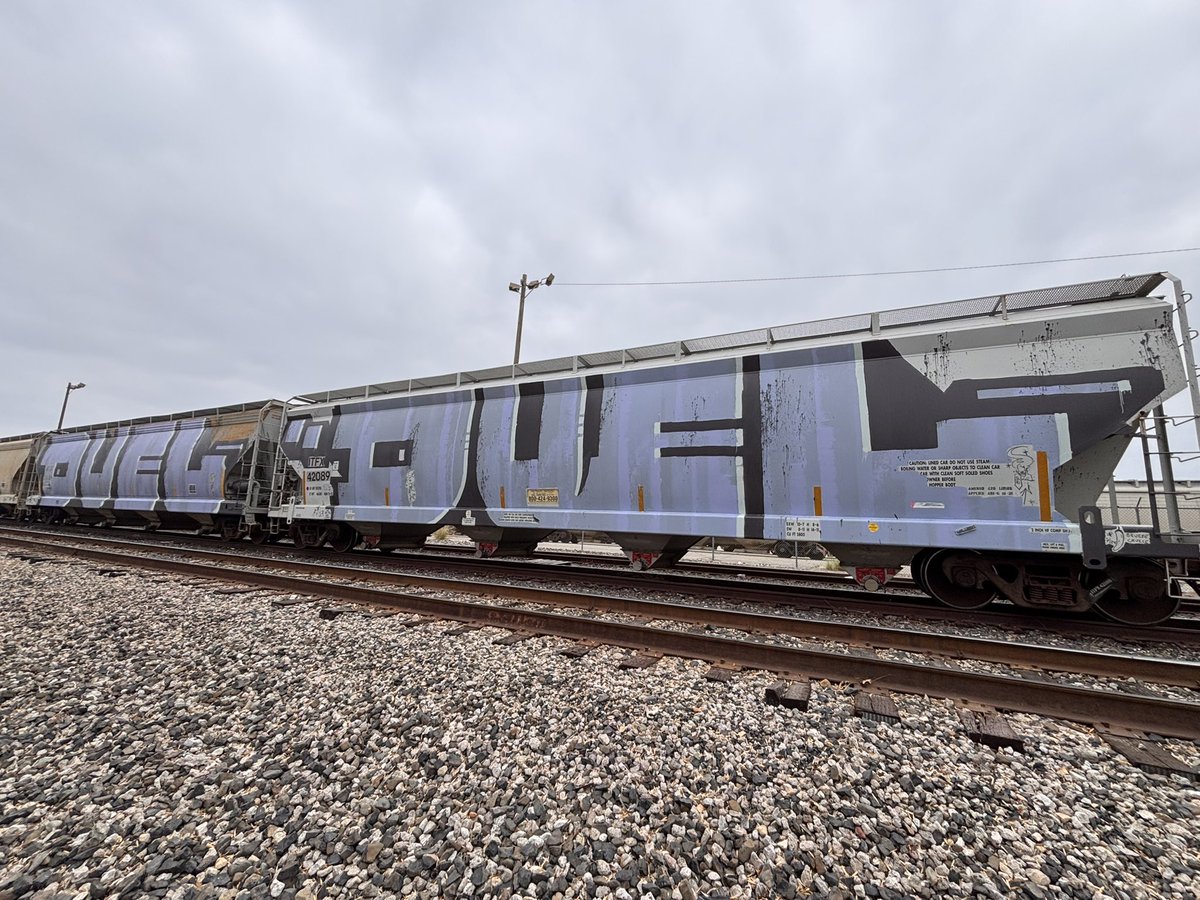 Duel RIS (@d1nyc) / Posts / X