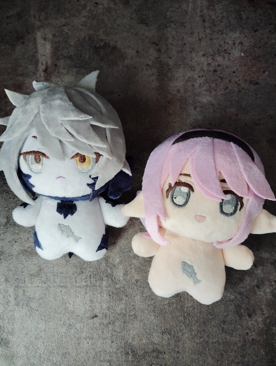 🌱小椋 tweet media