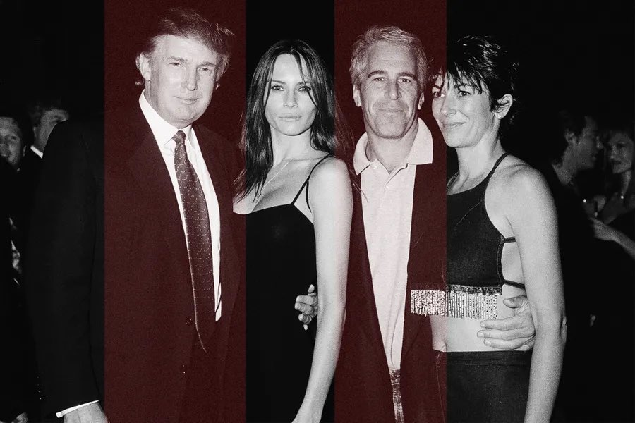 Simpleton & Smartypants 🌊 🌊 🌊 tweet media