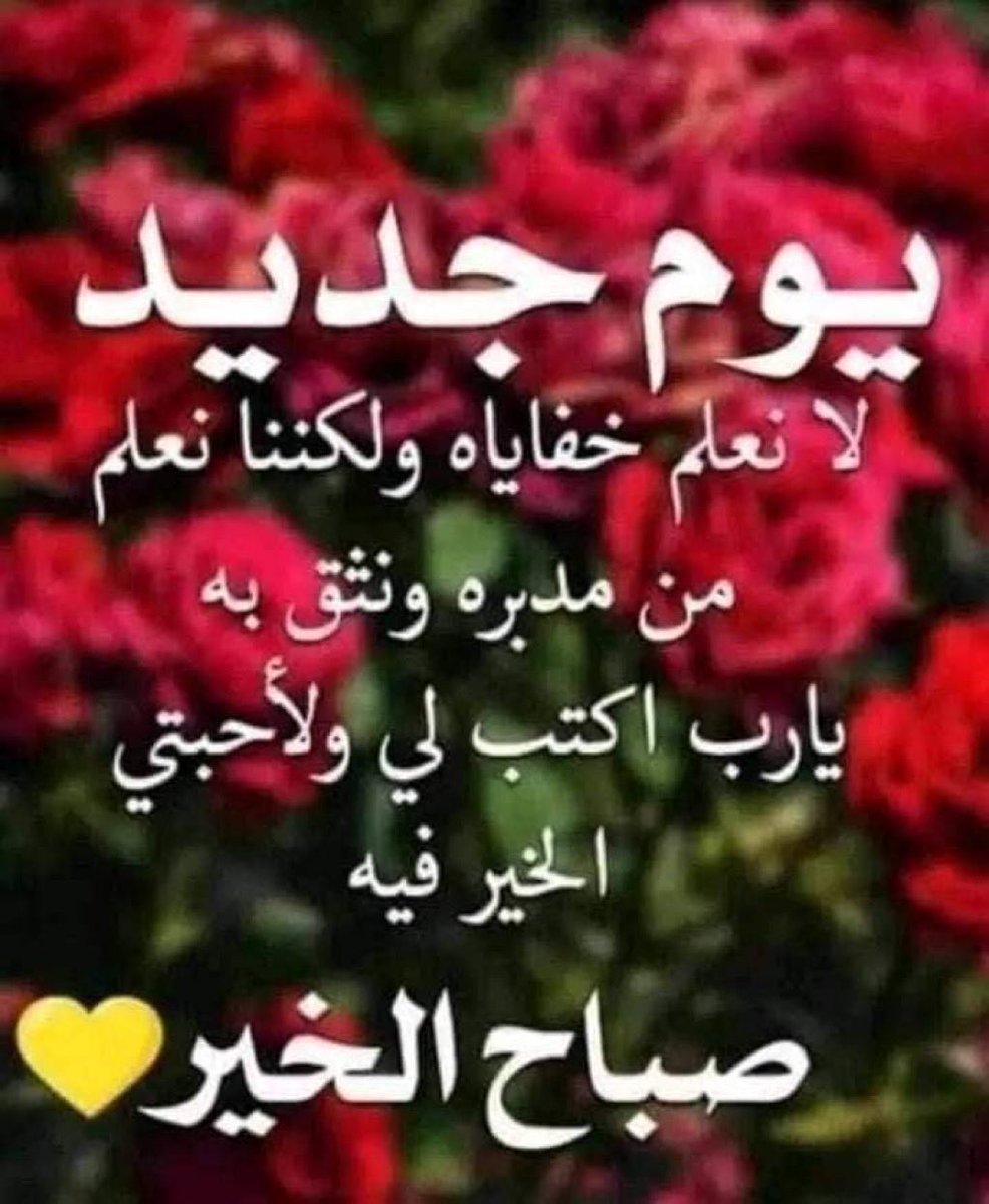 🌼شيهانه🌼 tweet media