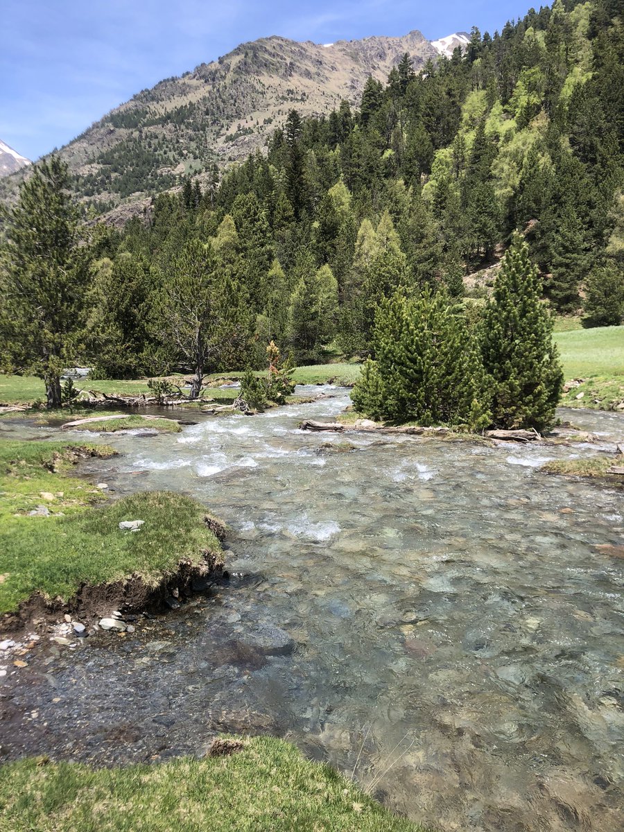 Rogerbuch's tweet photo. Pla de Boet, VallFerrera. https://t.co/zDXuyBIsu7