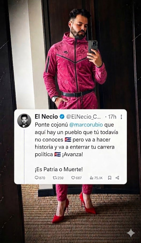 ElGiraldillo tweet media