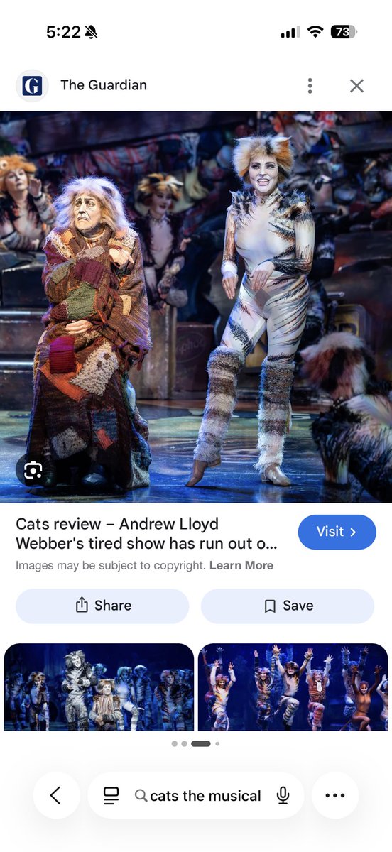 zynbryan69's tweet photo. I was just thinking about how weird cats the musical is https://t.co/8zjhAGITfH
