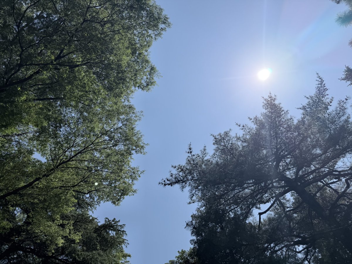 sato_thinking's tweet photo. 自分の気持ちを、まず受け入れる。

嬉しい、悲しい、悔しい、不安。どんな感情でも、まずは「そう感じているんだね」とOKを出してあげる。気持ちを否定しないことが、心を整える第一歩になる。

おはようございます。
今日も自分にやさしく過ごしましょう！ https://t.co/Zt2x2hWU9I