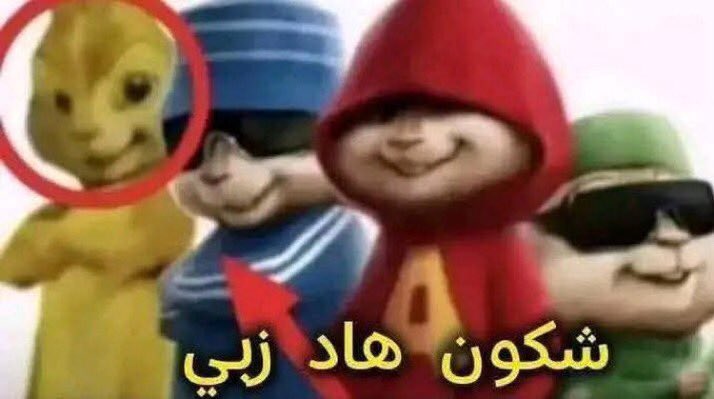 rdzonv's tweet photo. المبردعين فرمضان
المبرعين فالعيد الصغير
المبردعين فالعيد الكبير
المبردعين فكل جمعة
المبردعين كل نهلر مكيديوهاش فكرهم، ياك وكلوك البردعة و سير تحوا دوز فالواليدة ديالك. https://t.co/Fuvp4BFlgQ