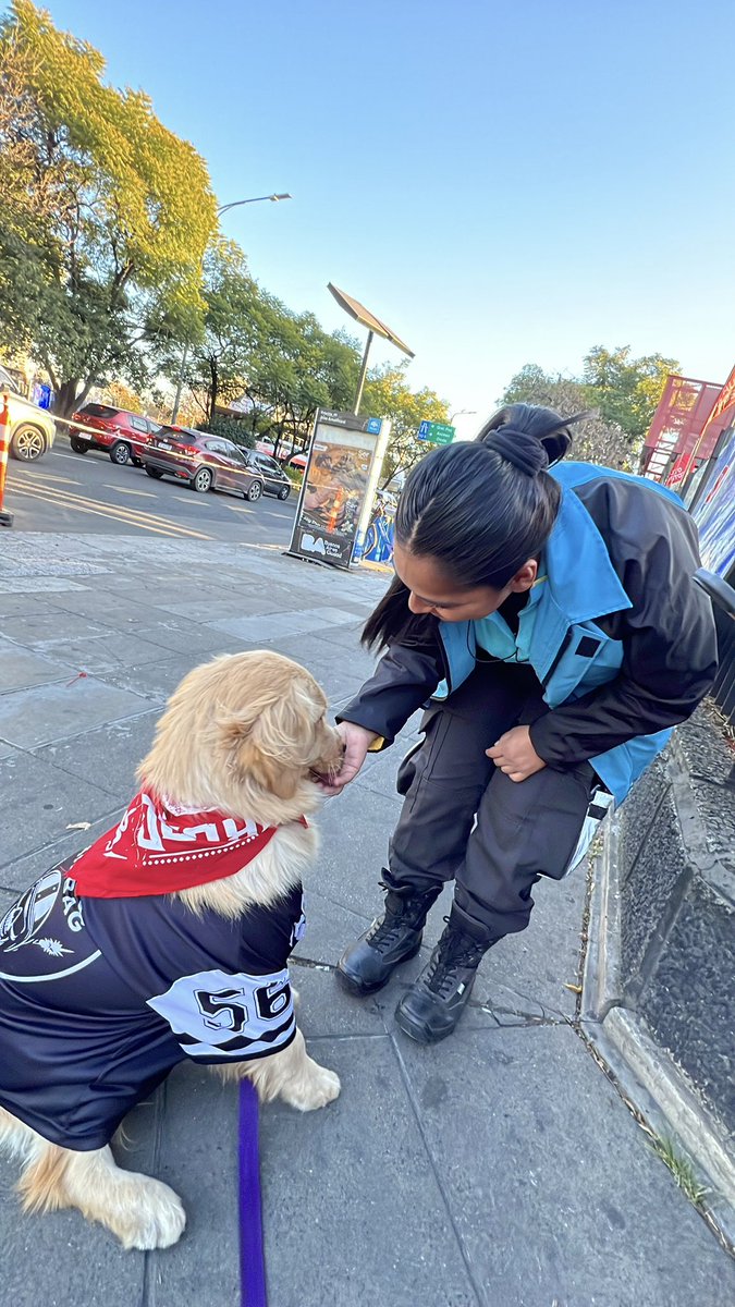 SomosPetsPlus's tweet photo. El verdadero 'show' fuera del escenario en el recital de Airbag fue MIEL! La cantidad de gente que paró a pedirle fotos fue increíble. ¿Ya tiene su club de fans? 😂🐕 #LaFanMasPeluda #AirbagEnVivo #MielLaCelebridad #RockYPerros #CampoGeneral https://t.co/HKvzx9weFq