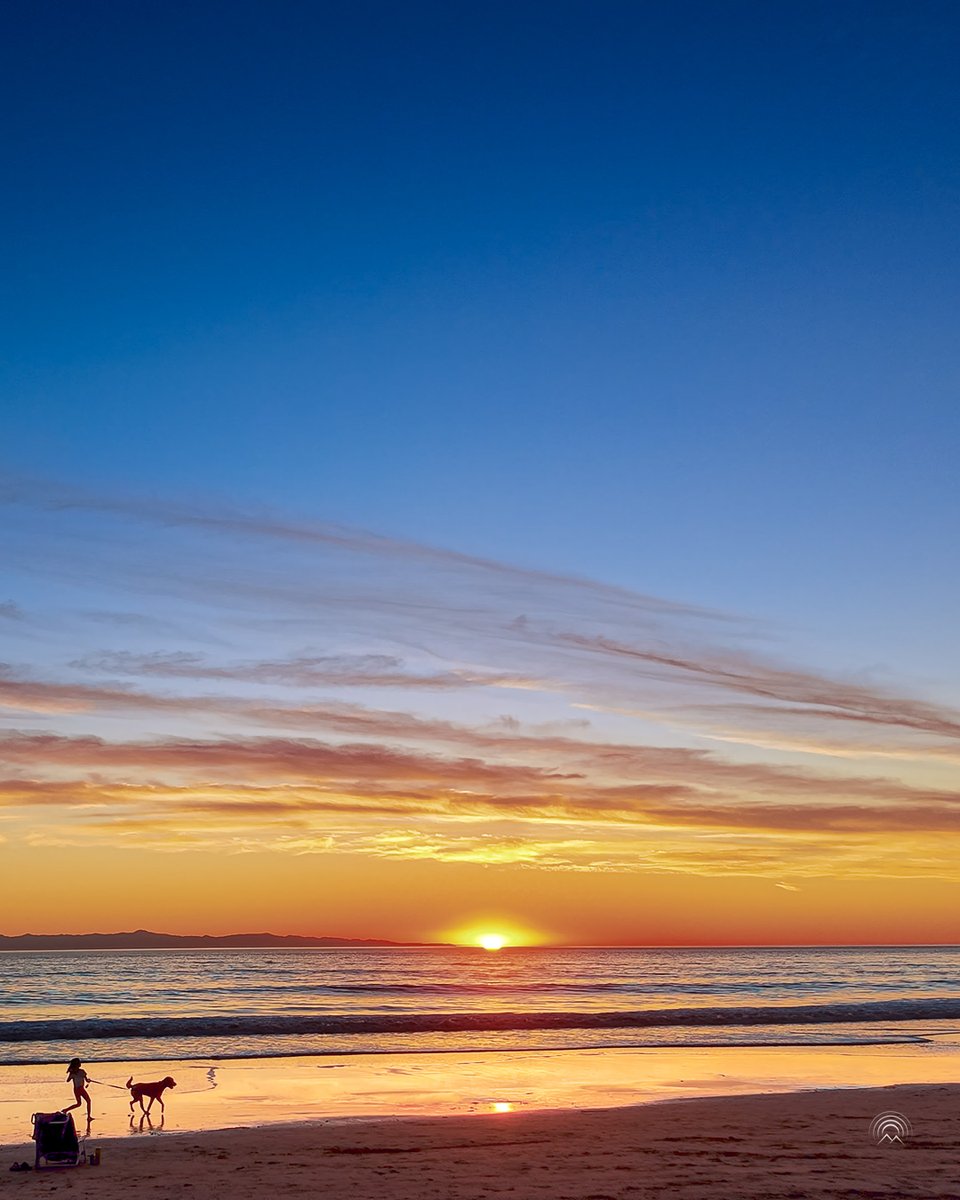 echoesofafuture's tweet photo. Closing the door on another beautiful day

#sunset #beach #photography https://t.co/UOLTCfQnJ9