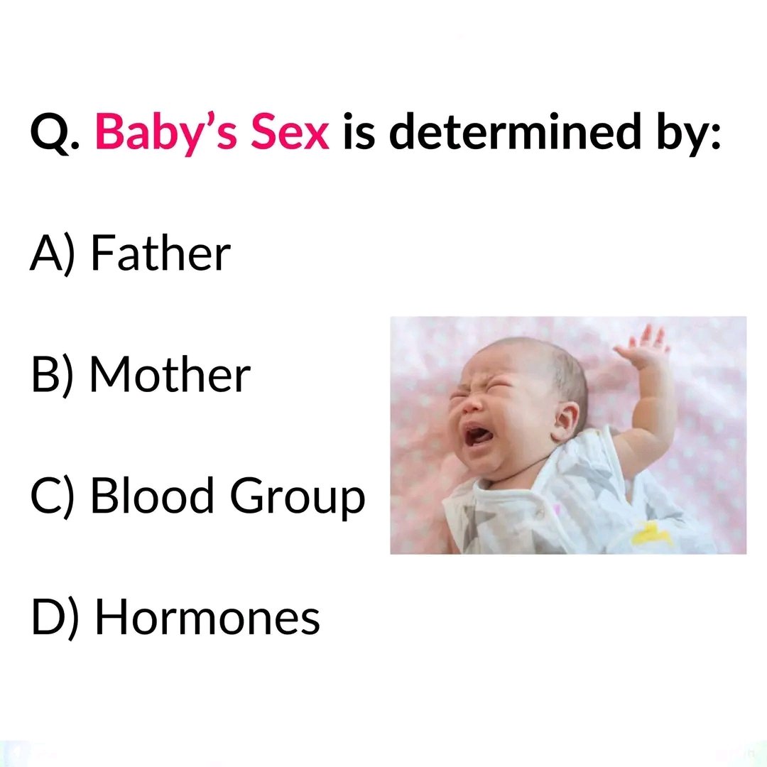 General Knowledge tweet media