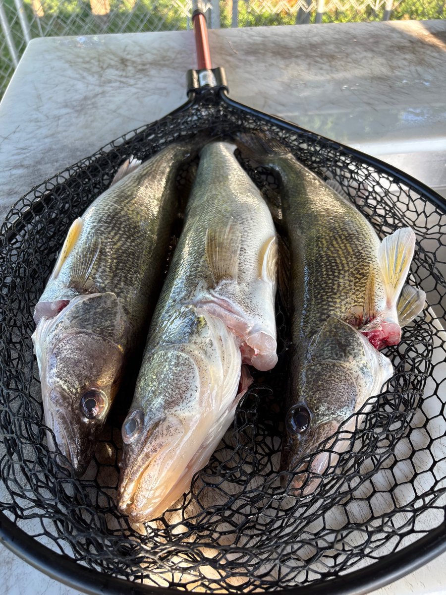 LeonardSeeds's tweet photo. Took my boys fishing today.  Beautiful Kansas day on the lake. https://t.co/2PIXiwxel4